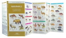 Pocket Naturalist: Mammals
